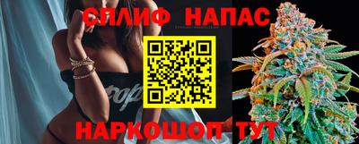 шишки Бузулук